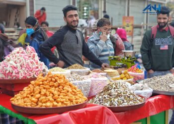 Govt unveils scheme for street vendors in J&K