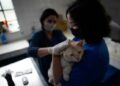 South Korea’s Seoul to test pet cats, dogs for COVID