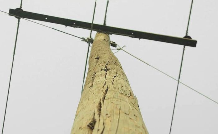 Rs 500 crore to be spent on replacing barbed wires; wooden poles: Kansal