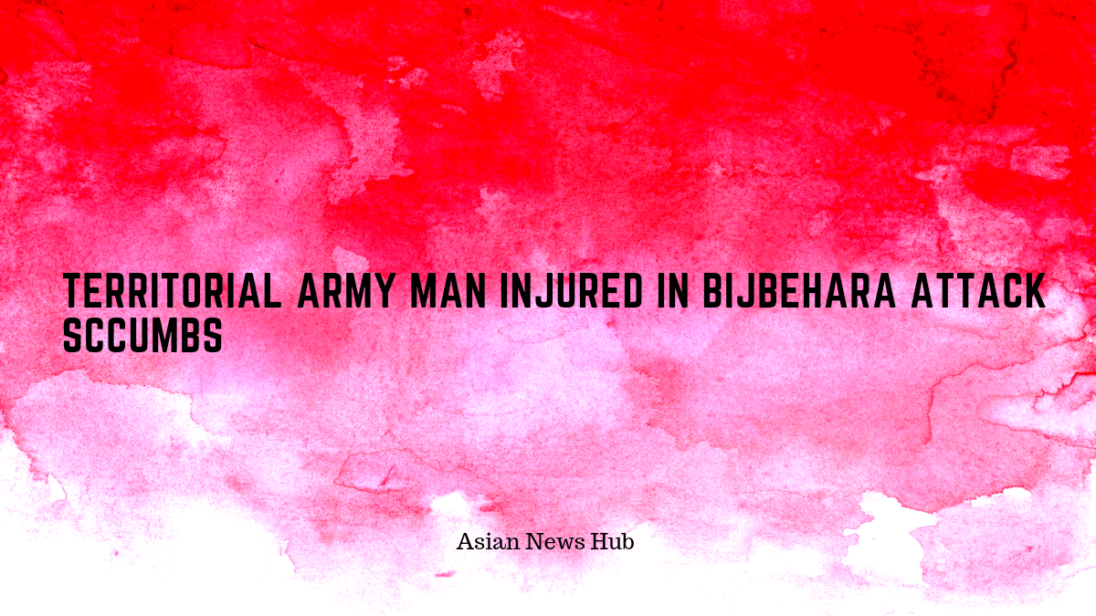 Injured Territorial Army man succumbs