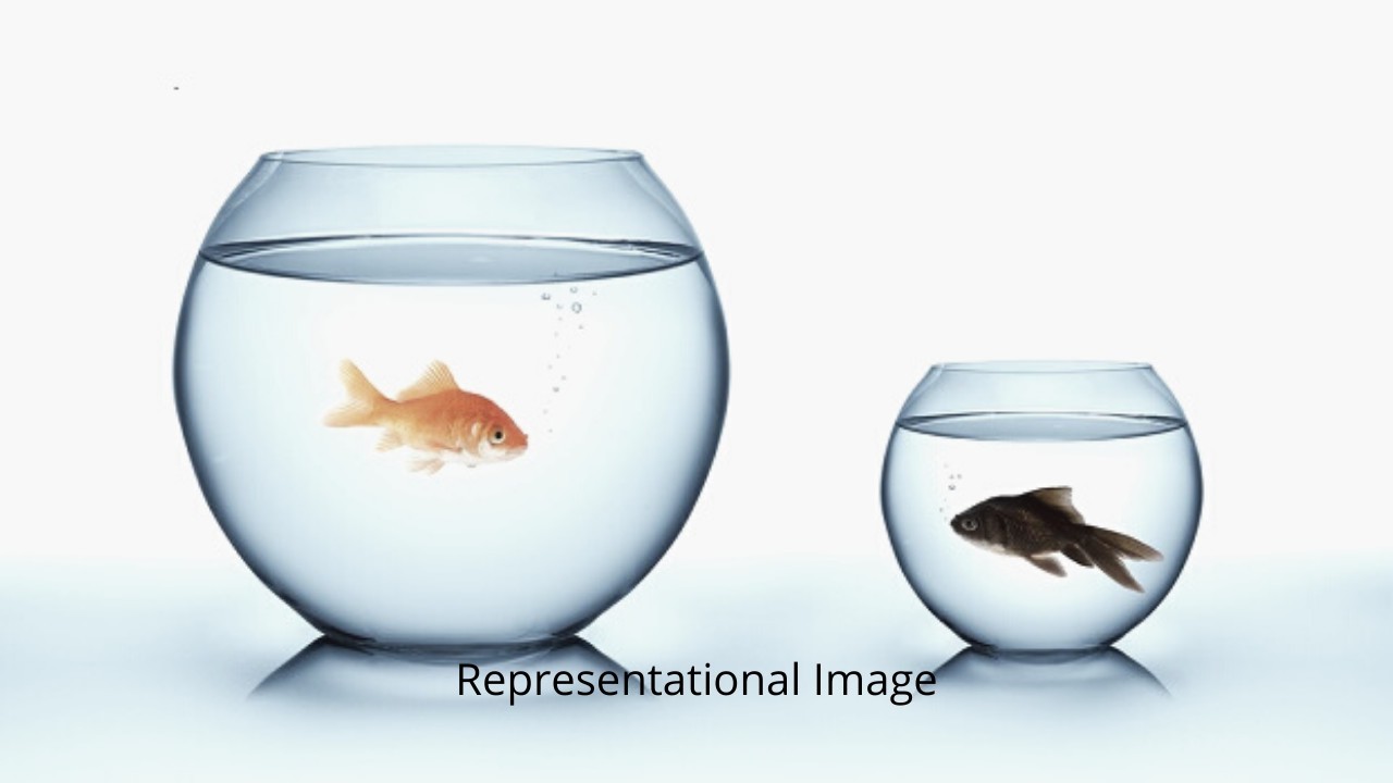 COVID-19: Nealy 9,000 vaccinated in Jammu today, none in Kashmir