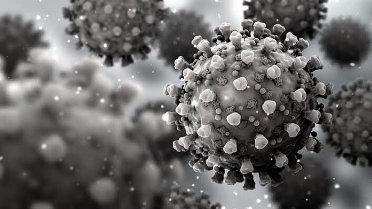 First Case of Black Fungus Reported in Jammu