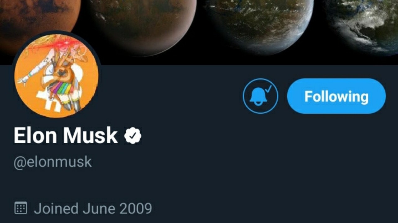 Cryptocurrencies: Elon Musk Changes Twitter DP to 'Triggered' Crypto Woman Cryptocurrencies: Elon Musk Changes Twitter DP to ‘Triggered’ Crypto Woman