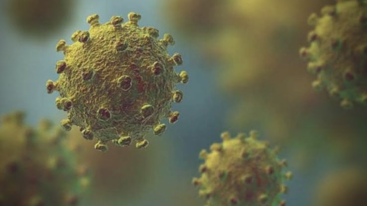 1.5 million children worldwide lost parents, guardians due to COVID-19: Lancet Third wave could hit India by October, situation could become severe; Experts warn