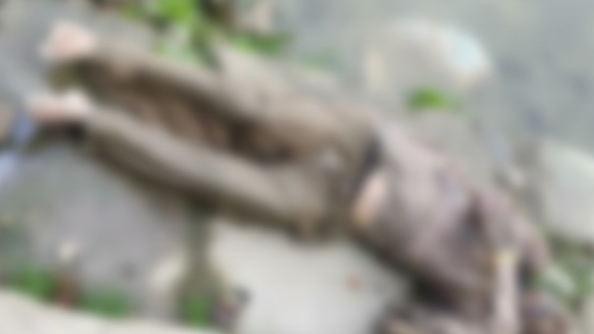 Missing since Monday, elderly lady's body retrieved from river Jhelum in Nawa Kadal Missing since Monday, elderly lady’s body retrieved from river Jhelum in Nawa Kadal