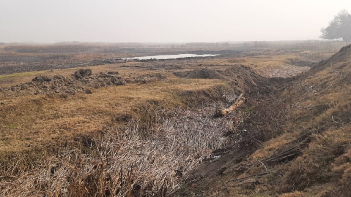 Wildlife dept’s negligence to erect embankments affects migratory birds in Ganderbal