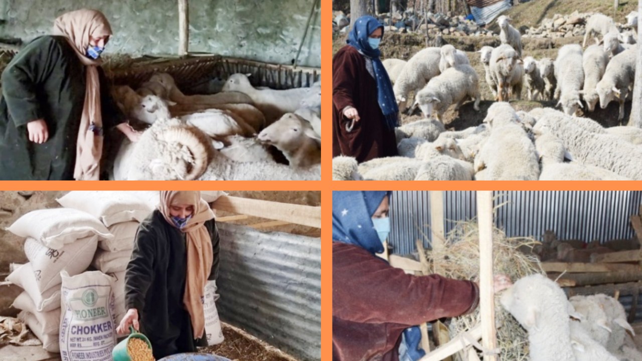 Self-employment schemes help B’pora Women become self-reliant, support economy of households Self-employment schemes help B’pora Women become self-reliant, support economy of households