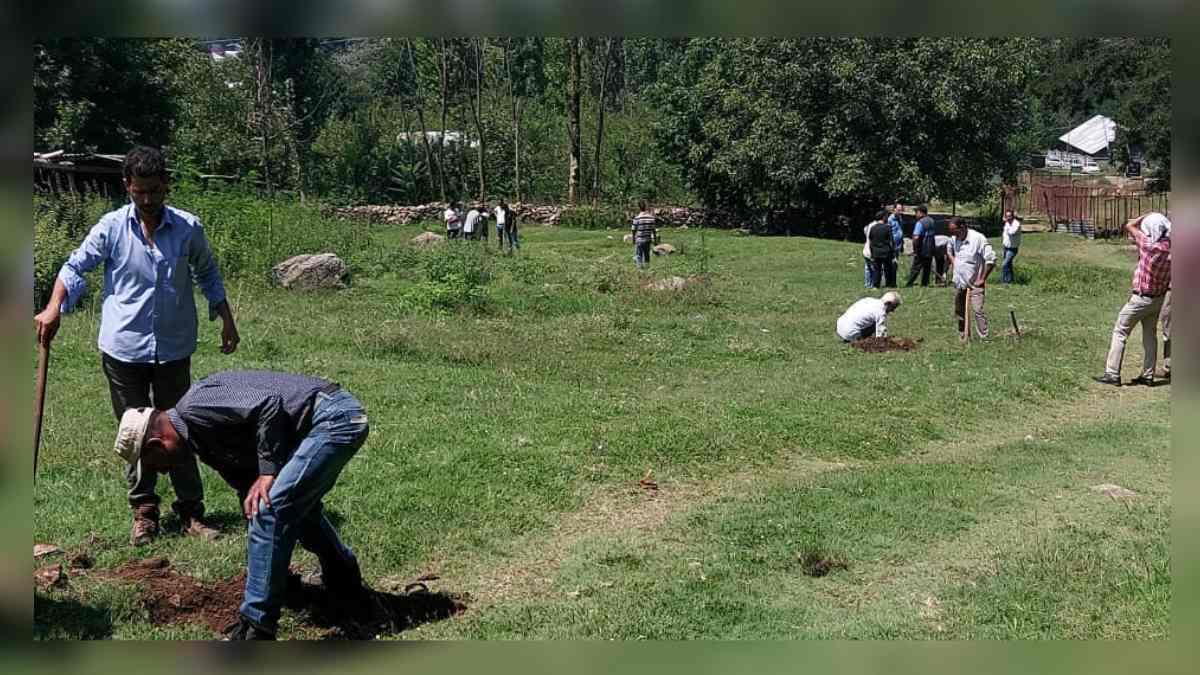 Azadi Ka Amrit Mahotsav: Srinagar admin plants 75 Chinar trees in Chinar Zaar Nishat Azadi Ka Amrit Mahotsav: Srinagar admin plants 75 Chinar trees in Chinar Zaar Nishat