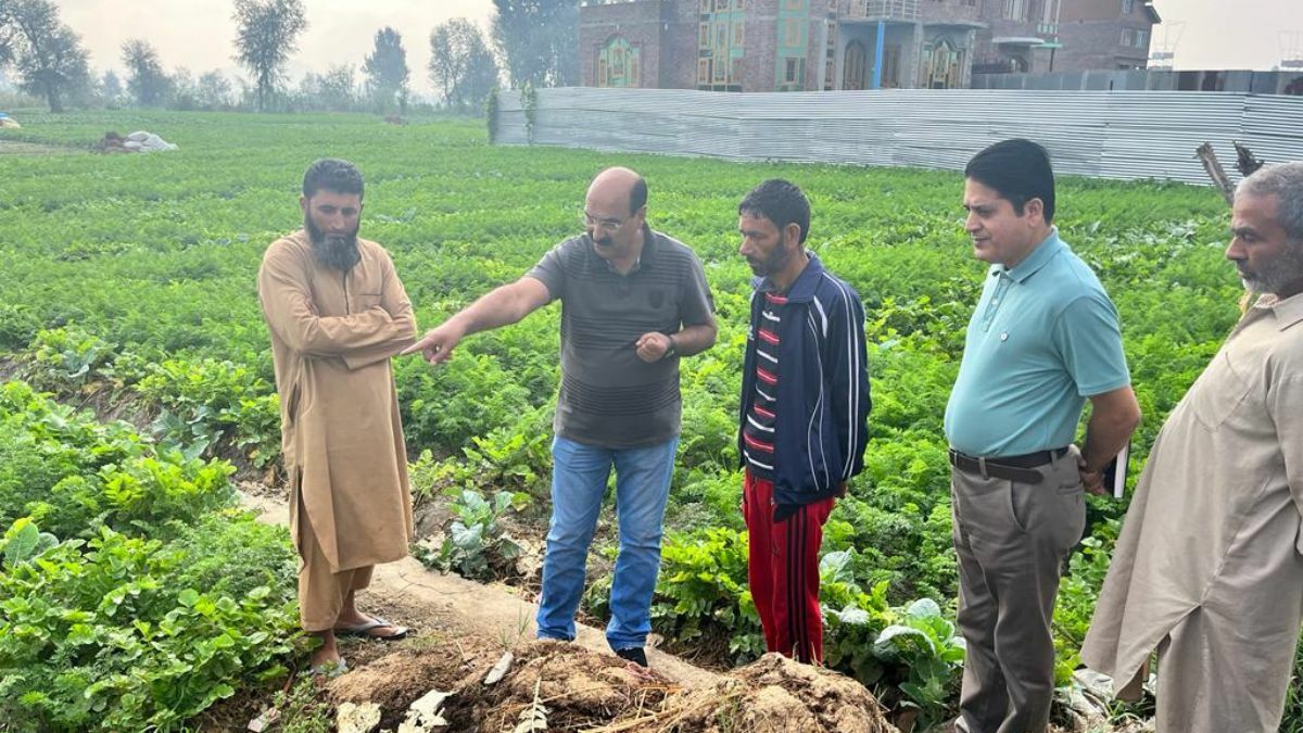 Director Agriculture Kashmir visits Qamarwari, Sgr Director Agriculture Kashmir visits Qamarwari, Sgr