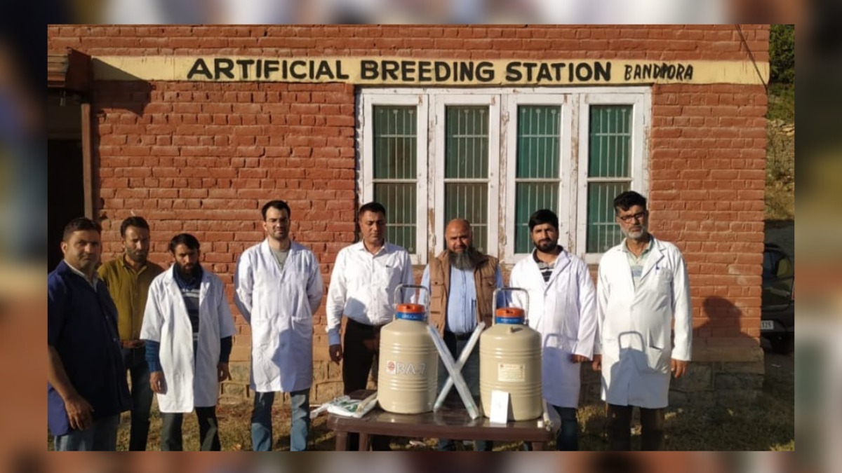 Milestone in Dairy Sector: Animal Husbandry B’pora launches Sexed Semen Technology