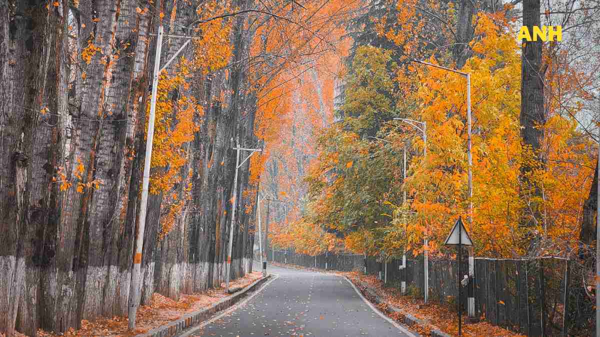 Sub-zero temperature linger on in Kashmir, minus 3.2°C in Srinagar