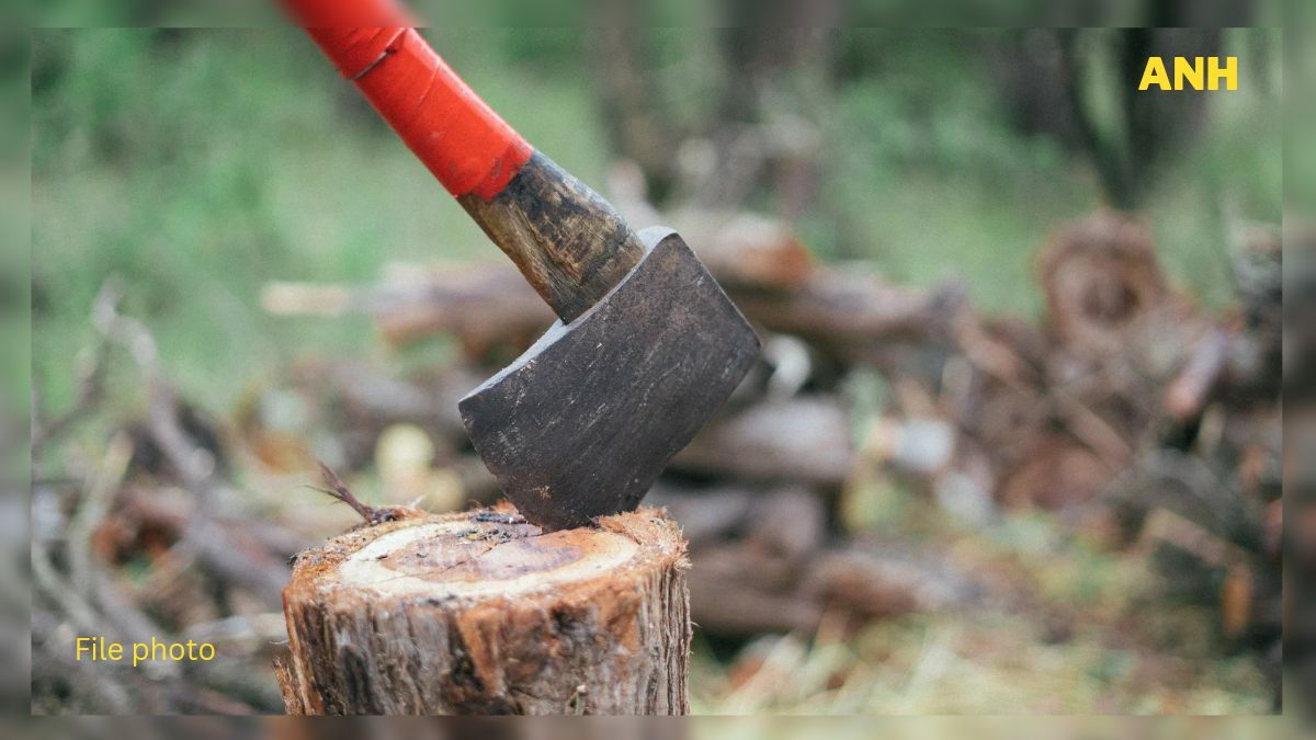 New Land Laws: 58 out of 59 structures in Gulmarg set to face axe, say hoteliers