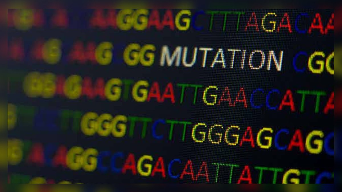 Genome sequencing lab at GMC Srinagar to be made functional in weeks’ time: official