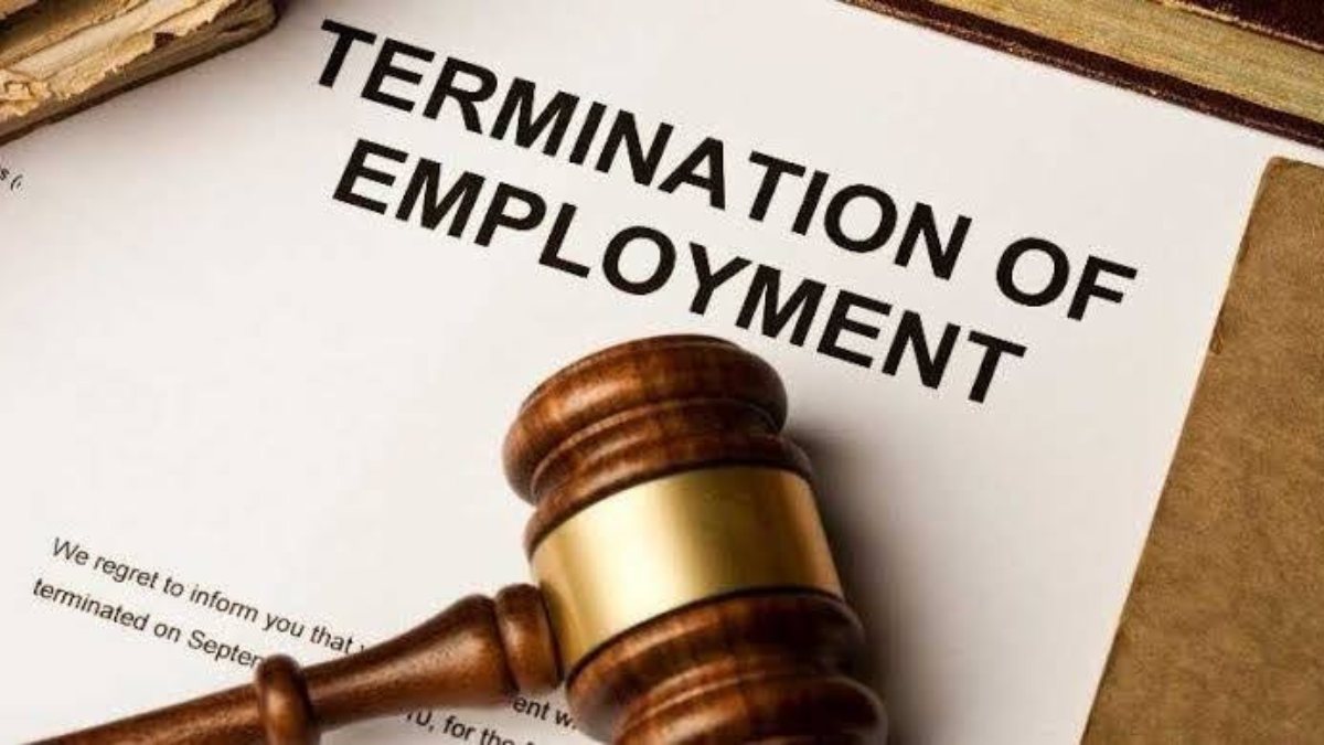 School Edu Deptt terminates 23 ReTs for over ‘invalid degree certificates’