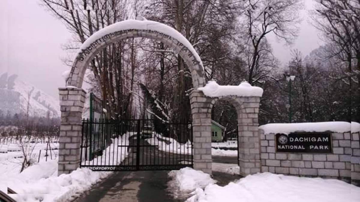 Dachigam National Park to remain closed from March 15 to 20 for Hangul census