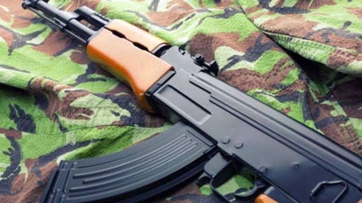 Weapon snatching bid foiled in Shopian, one held: Police