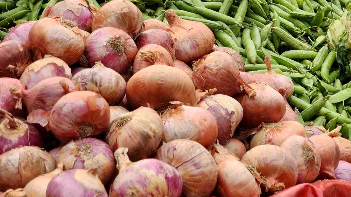 After tomato, Government to sell onion at subsidised rate of ₹25 a kg from tomorrow