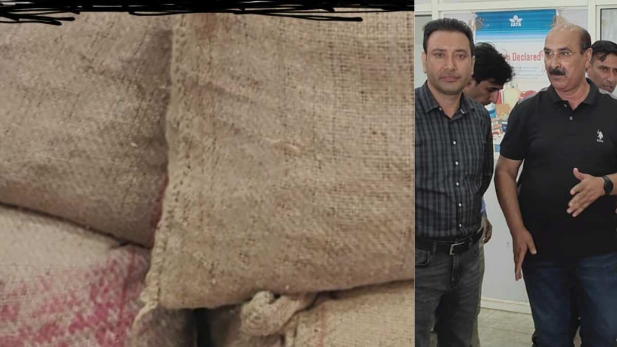 Dir Agriculture led enforcement flying squad seizes Saffron Corms being exported outside Valley Dir Agriculture led enforcement flying squad seizes Saffron Corms being exported outside Valley