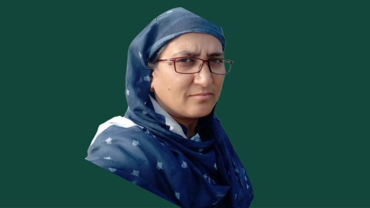 Prof. Kowsar Majid, faculty member at NIT Sgr bags prestigious mega project from SERB-DST