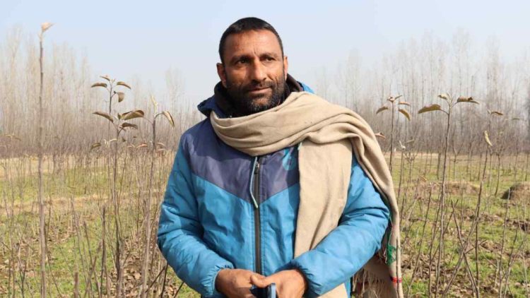 Kulgam man quits Govt job, emerges successful entrepreneur in nursery business