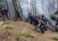 Dry spell triggers massive forest fire in Kulgam, 2 forest employees injured