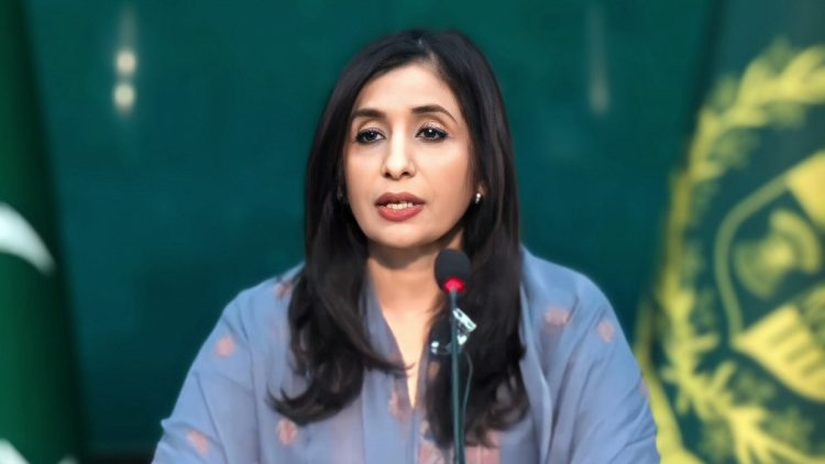 Airspace violation: Pakistan hits terrorist hideouts in Iran, Tehran reports 9 killed