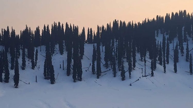 Tourism Department to register, train 100 female tourist guides