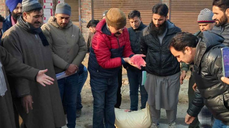 Enforcement team headed by Director Agriculture seizes bags of duplicate spurious fertilizers at Sopore