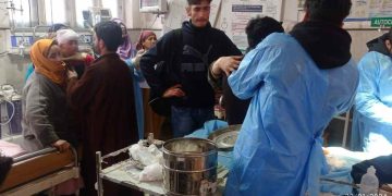 6 injured after being attacked by wild boar in Kulgam