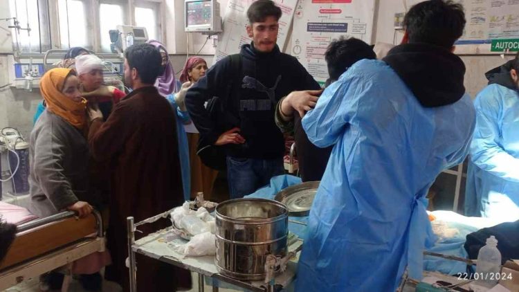 6 injured after being attacked by wild boar in Kulgam 6 injured after being attacked by wild boar in Kulgam