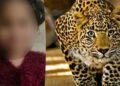 Leopard lifts minor girl in Budgam;  rescue ops underway
