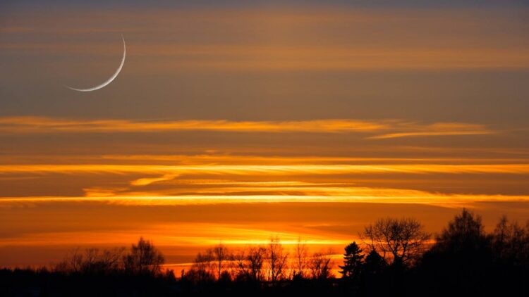 Eid-ul-Fitr on April 11: Shahi Imam Jama Masjid Delhi