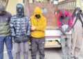 Gbl Police Solve Livestock Theft Case: Six Arrested, Stolen Sheep, Goats Recovered