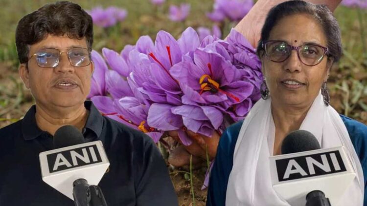 Indore Couple Creates ‘Mini-Kashmir’ at Home, Successfully Cultivates Saffron in Artificial Climate