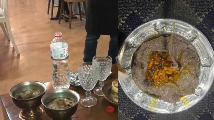 Harissa Craze Grips Valley As Winter Sets In Harissa Craze Grips Valley As Winter Sets In