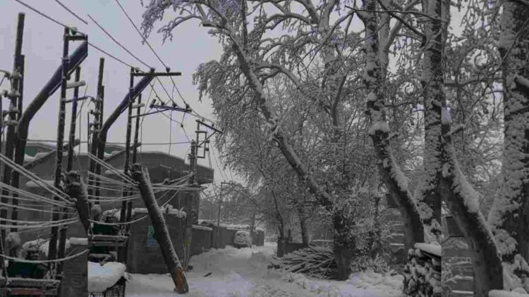 Nowgam Residents Raise Concerns Over Safety Risks From Overgrown Trees Nowgam Residents Raise Concerns Over Safety Risks From Overgrown Trees
