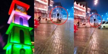 Man Climbs Car Stopper Pole to Escape Stray Dogs in Lal Chowk, Srinagar