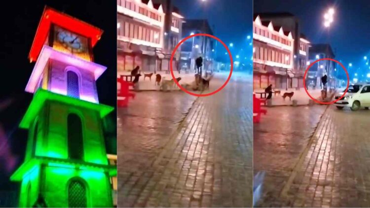 Man Climbs Car Stopper Pole to Escape Stray Dogs in Lal Chowk, Srinagar Man Climbs Car Stopper Pole to Escape Stray Dogs in Lal Chowk, Srinagar