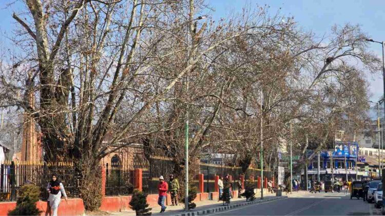 Chilla-i-Kalan Set to End on Dry Note Chilla-i-Kalan Set to End on Dry Note