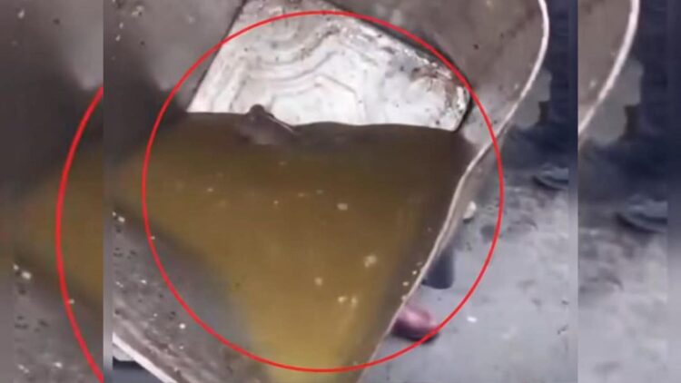 Srinagar Police Register FIR Against Hazratbal Food Vendor for Spreading Infection