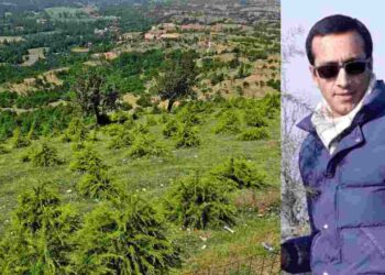 How Journalist Rifat Abdullah Transformed Barren Land into Urban Forest in Budgam