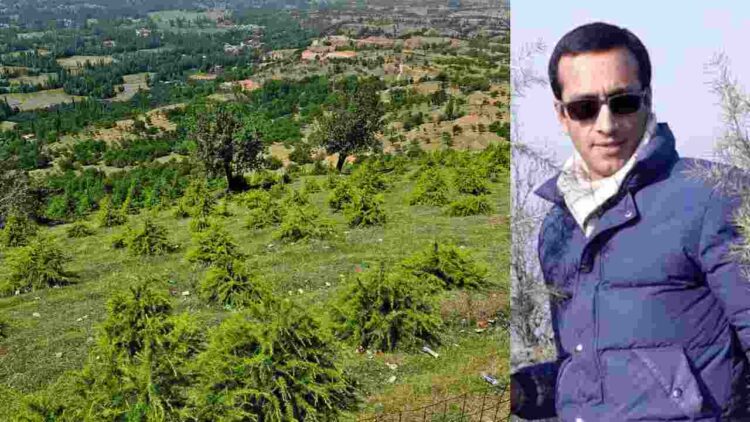 How Journalist Rifat Abdullah Transformed Barren Land into Urban Forest in Budgam