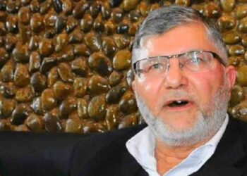 Babar Qadri Murder Case: Charges Framed Against Former Bar President Mian Qayoom