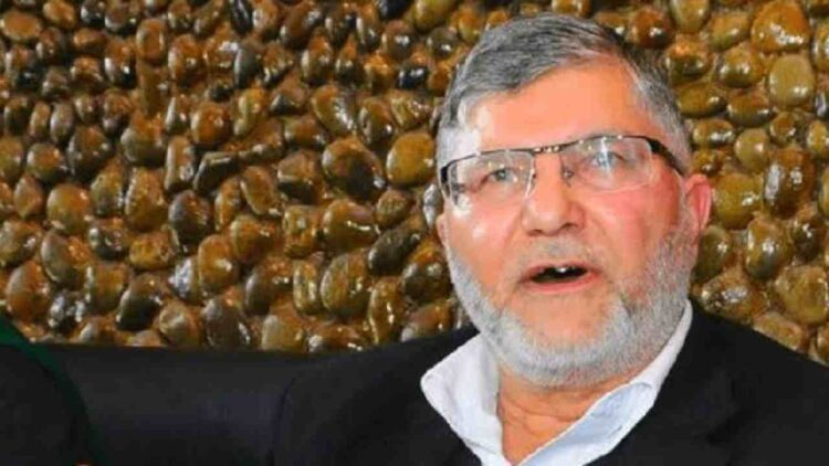 Babar Qadri Murder Case: Charges Framed Against Former Bar President Mian Qayoom