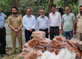 It’s Halal Meat, Not Haram — Food Safety Dept Urges No Religious Angle