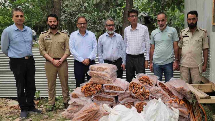 It’s Halal Meat, Not Haram — Food Safety Dept Urges No Religious Angle