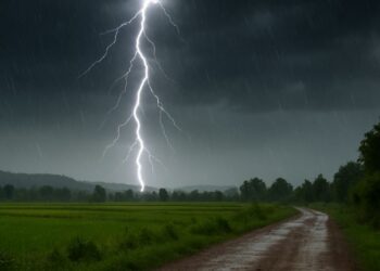 Teenager Dies After Lightning Strike in Kokernag