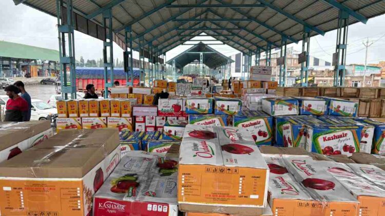 Nearly 100 Apple Crates Stolen from Shopian Orchard