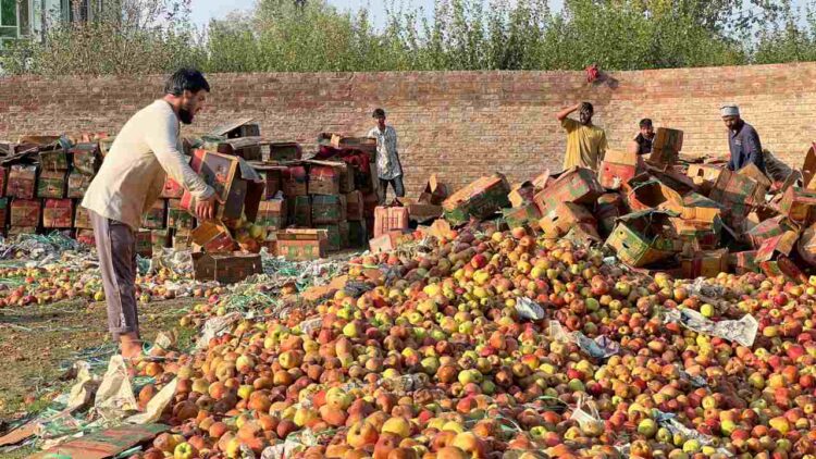 Opinion | Kashmir’s Economy Left to Rot on Highways Opinion | Kashmir’s Economy Left to Rot on Highways