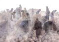 Afghanistan Earthquake Death Toll Rises Above 1,400 Over 500 Killed, Thousands Injured as Earthquake Flattens Villages in Afghanistan